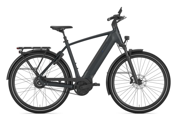 Afbeelding van de Gazelle Ultimate C380