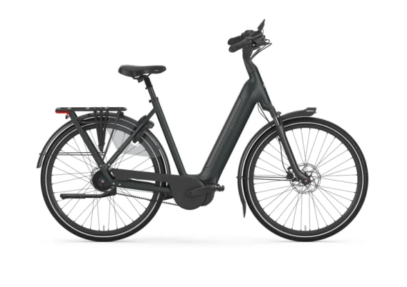 Afbeelding van de Gazelle Grenoble C5+